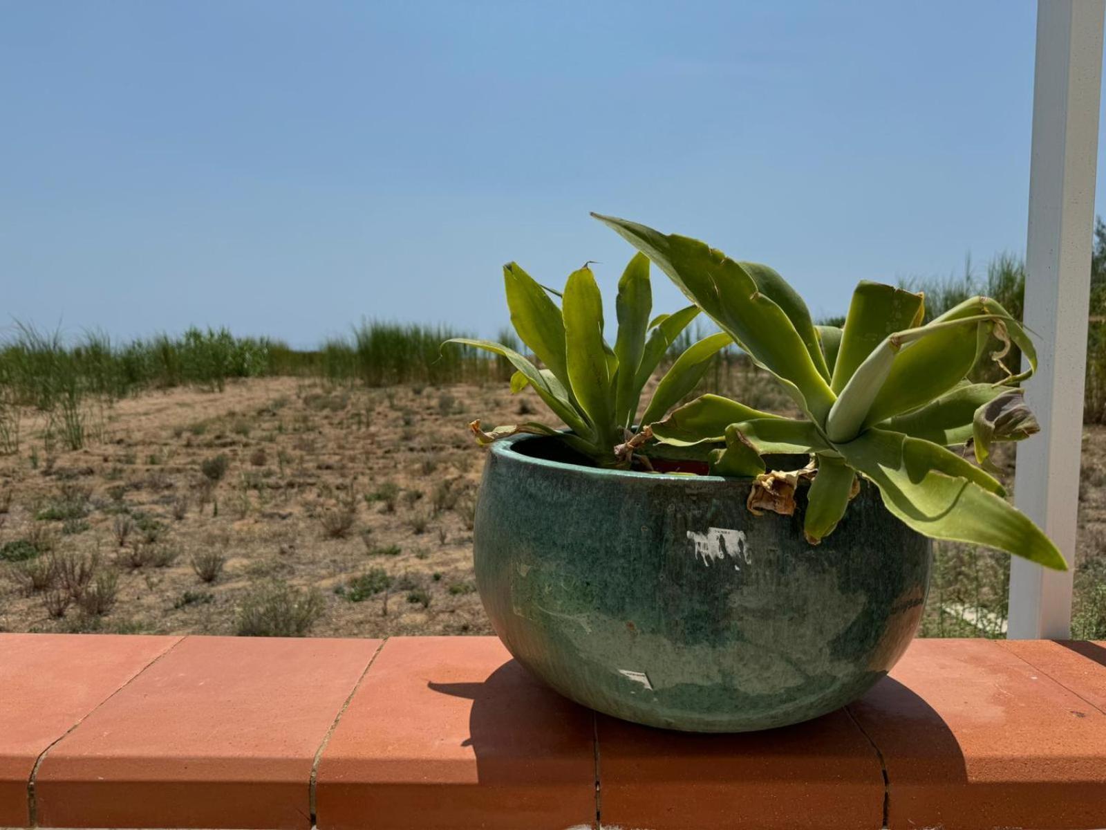 Fin Fiori Villa Menfi Exterior photo